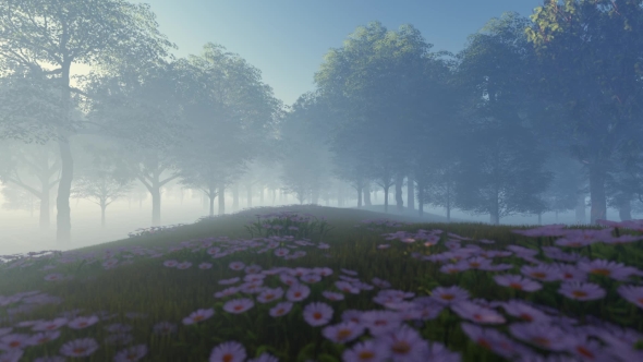 Flower Meadow in a Foggy Forest