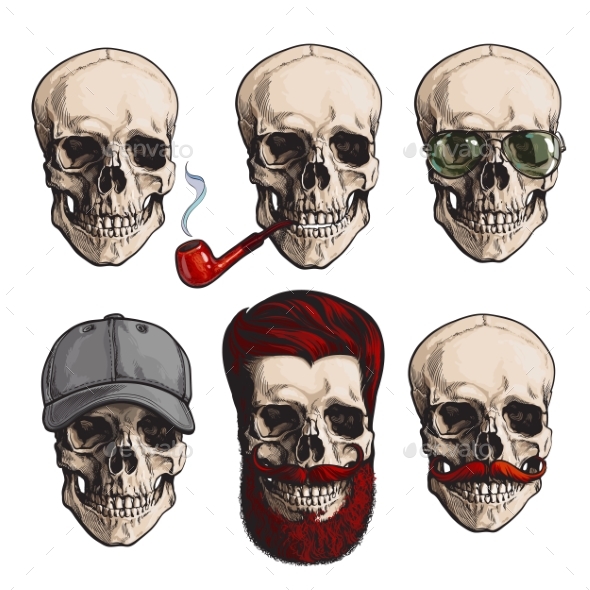 Human Skull Bones - People Characters