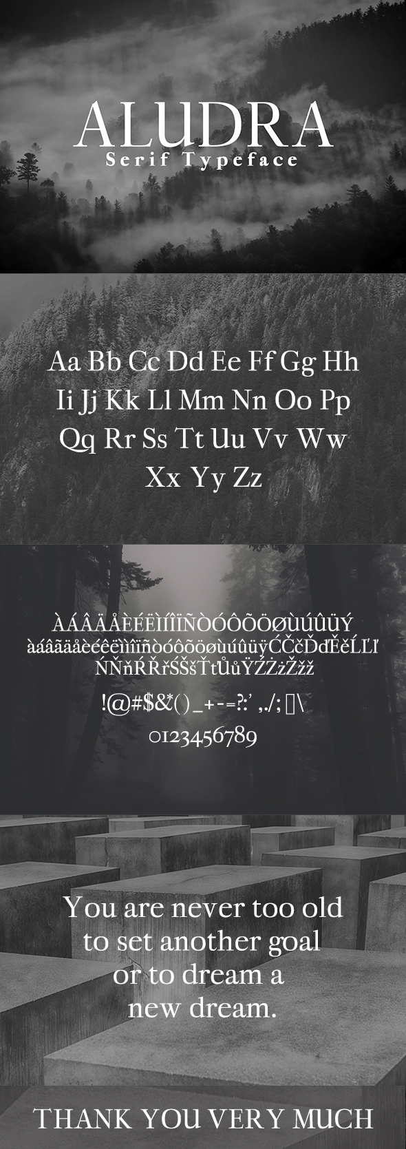 Aludra Serif Typeface - Serif Fonts