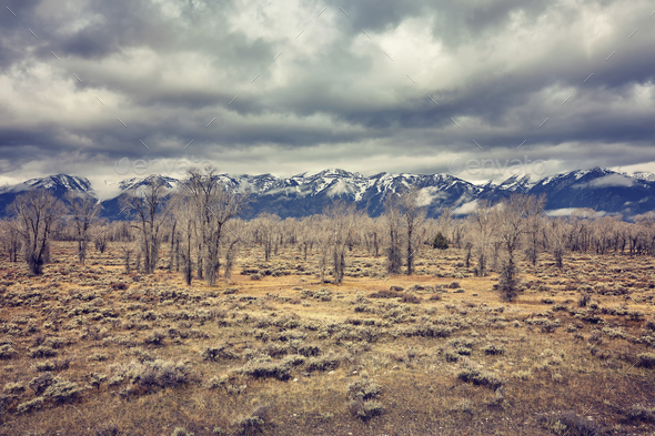 Retro stylized landscape in the Grand Teton National Park, Wyomi Stock Photo by Maciejbledowski