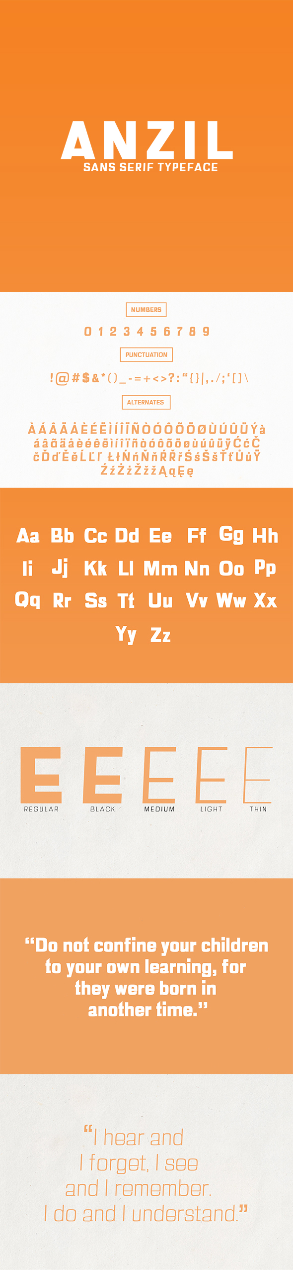 Anzil Sans Serif Font Family - Sans-Serif Fonts