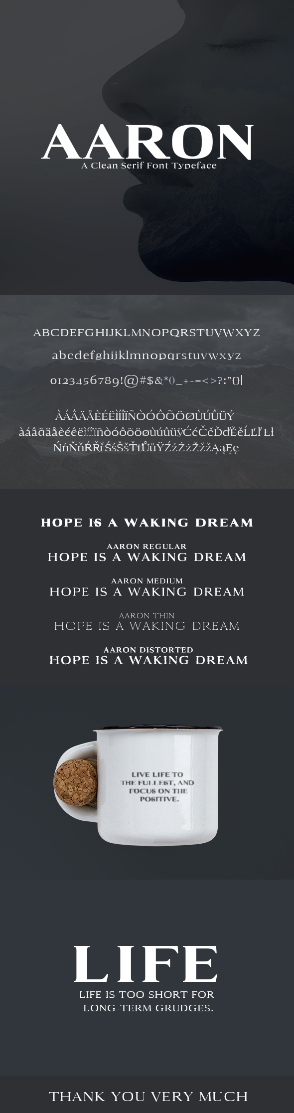 Aaron Serif Font Family - Serif Fonts