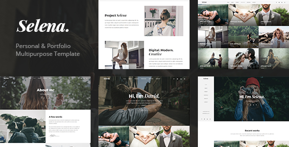 Selena. - Minimal - ThemeForest 19769118