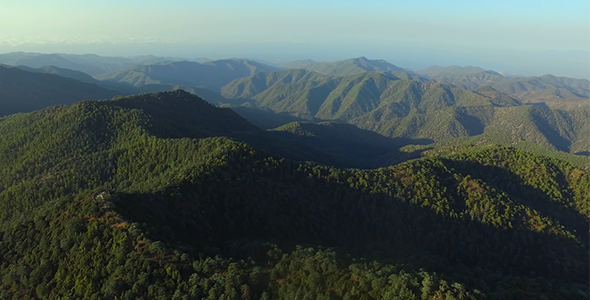 Flying Above The Mountains with Green Forest
