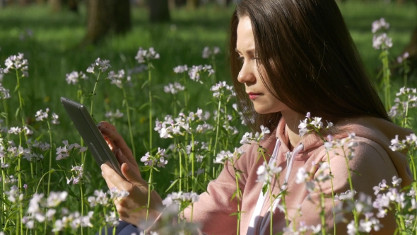 Woman Browses Internet in Tablet Sitting on Field