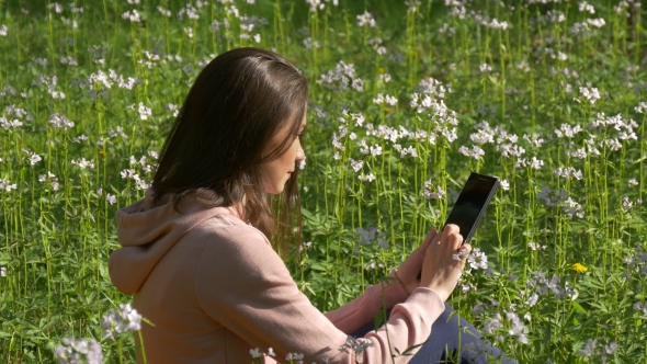 Woman Using Tablet Sitting in Field