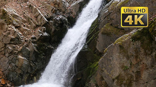 Waterfall in Mountain Forest