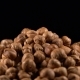 Hazelnut Rotates on a Black Background - VideoHive Item for Sale