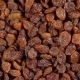 Rotating Background of Raisin - VideoHive Item for Sale