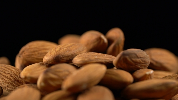 Almond Rotates on a Black Background alt