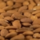 Rotating Background of Almonds - VideoHive Item for Sale