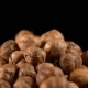 Hazelnut Rotates on a Black Background - VideoHive Item for Sale