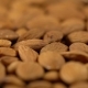 Rotating Background of Almonds - VideoHive Item for Sale