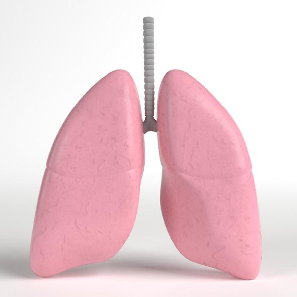 Anatomy - Human Lungs - 3DOcean Item for Sale