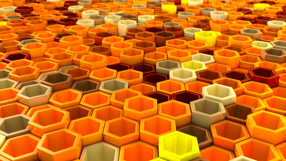 Network Of Hexagons