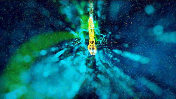 Magic Color Particles Background