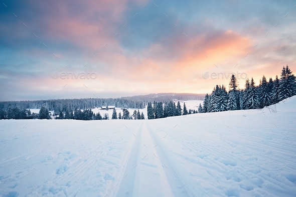 Winter landscape at the sunset - Stock Photo - Images