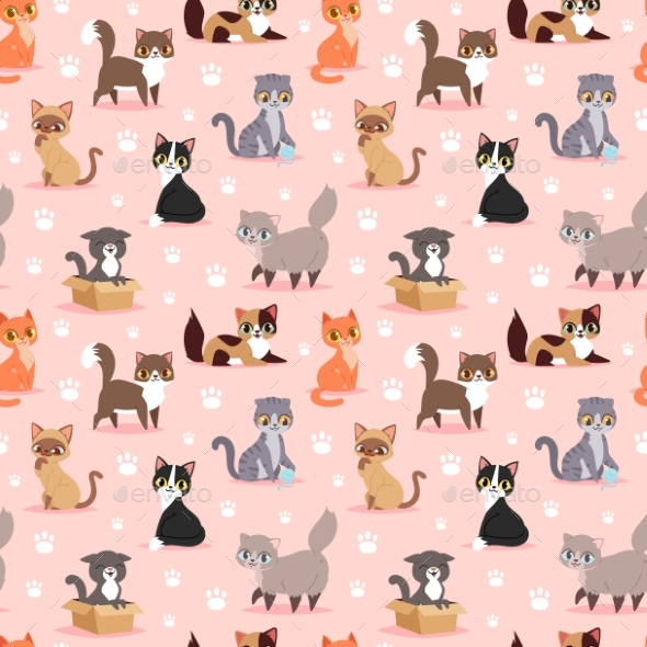 Cat Breed Kitten Pet Portrait Fluffy Young - Animals Characters