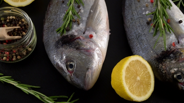 Fresh Raw Dorado and on Table