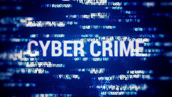Cyber Crime (2 in 1)