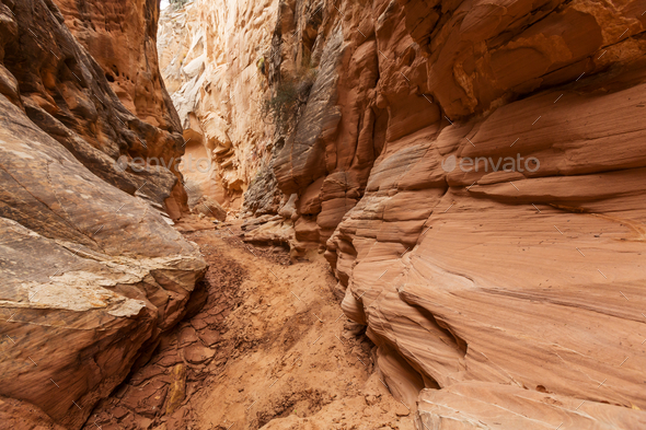 Slot canyon - Stock Photo - Images