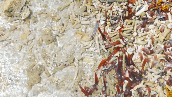 Waves on Coral Island alt