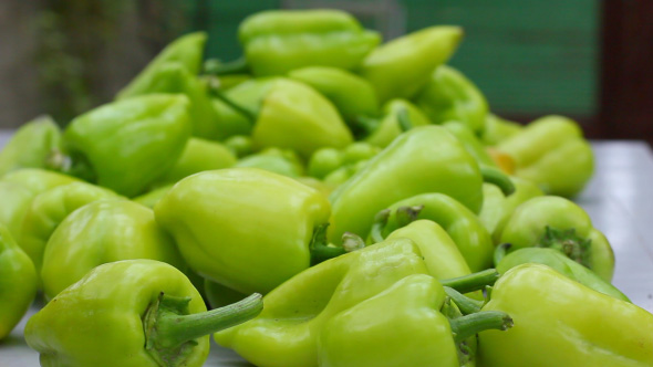 Green Fresh Pepper