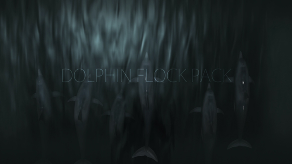 Dolphin Flock Pack