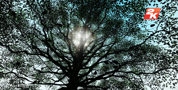 Leaves falling from the tree alt