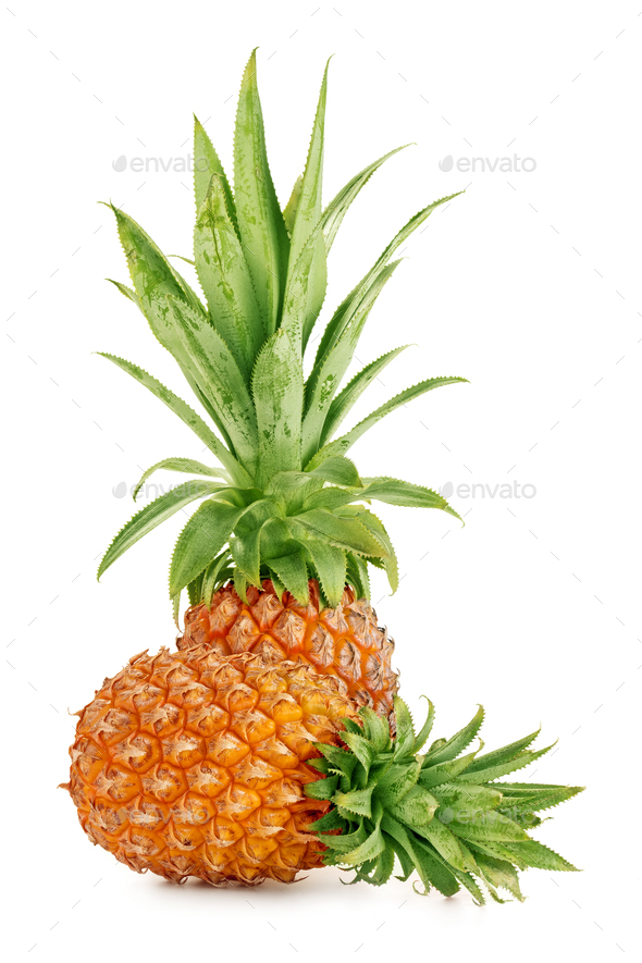 two ripe pineapple - Stock Photo - Images