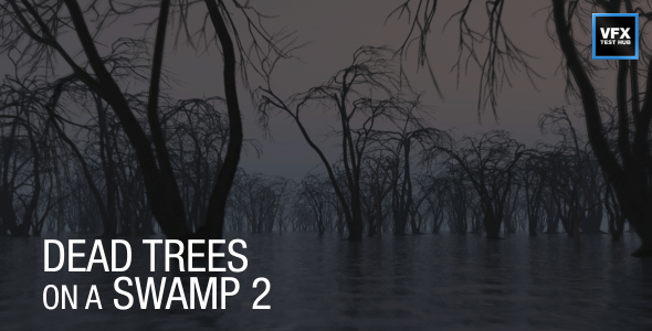 Dead Trees on a Swamp 2