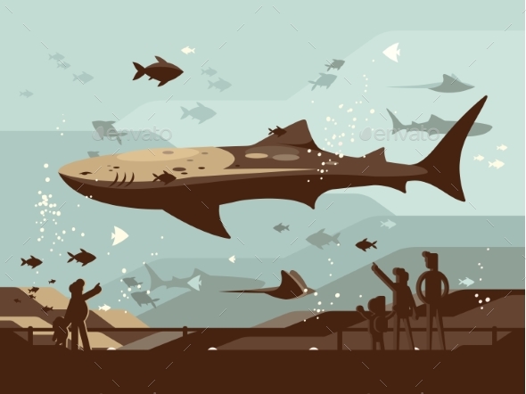 Aquarium with Large Marine Fishes - Miscellaneous Vectors