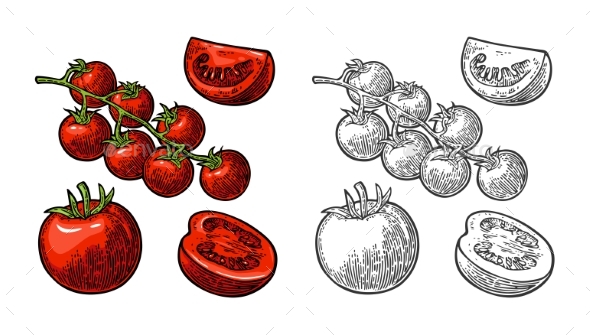 Set of Hand Drawn Tomatoes - Food Objects