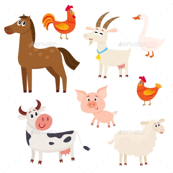 Farm Animals - Animals Characters