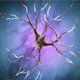 Neuron Cell Medical Background - VideoHive Item for Sale