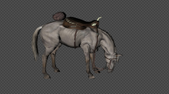 A Horse With A Saddle Idle Pack 6 In 1