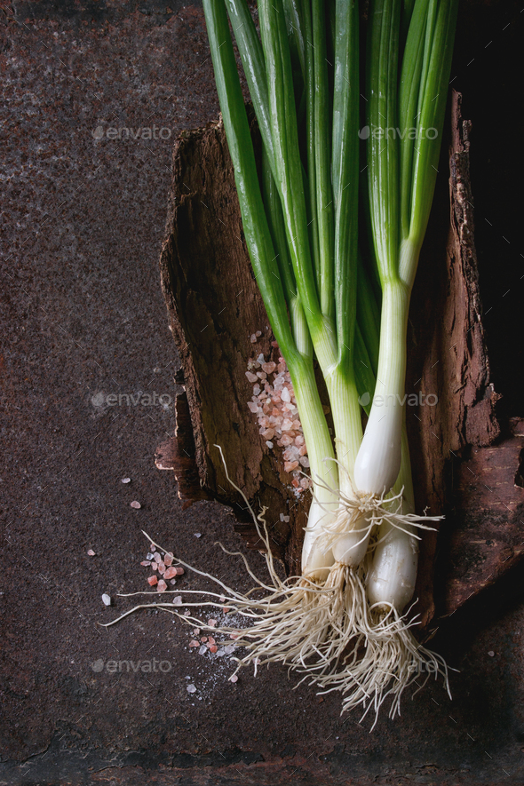 Fresh spring onion bundle - Stock Photo - Images