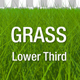 Grass Lower Third Pack - VideoHive Item for Sale
