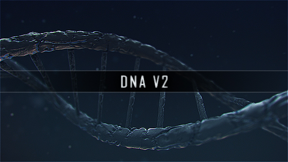 DNA V2
