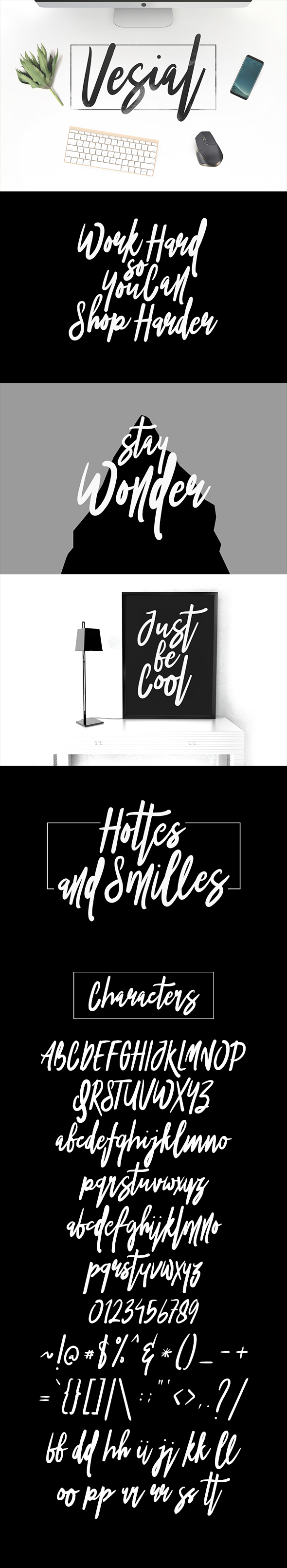 Vesial Typeface - Hand-writing Script