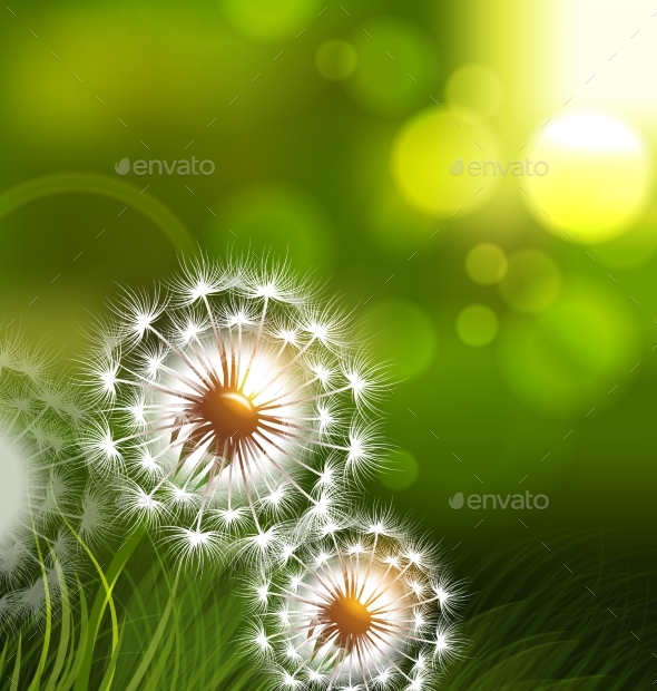 Dandelion Field Vector Spring Background - Organic Objects Objects