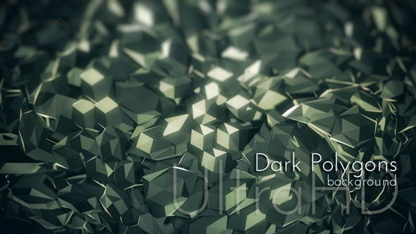 Dark Polygons Surface