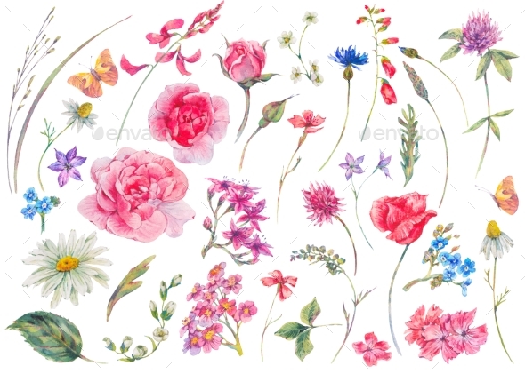Watercolor Set of Vintage Floral Summer Natural - Nature Backgrounds
