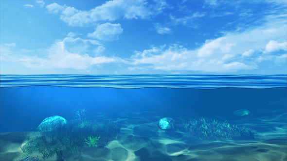 Underwater Seabed View Horizon