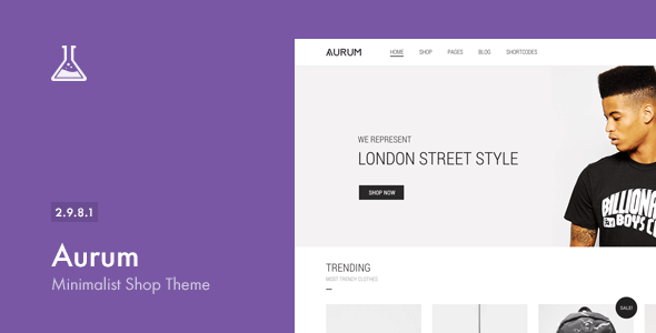 Aurum - Minimalist Shopping Theme - WooCommerce eCommerce