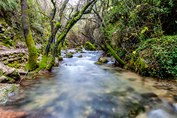 River Majaceite - Stock Photo - Images