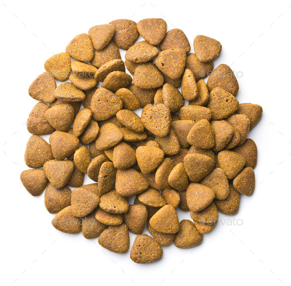 Dry kibble dog food. Stock Photo by jirkaejc | PhotoDune