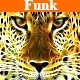 The Funk Groove