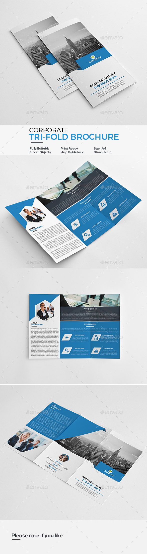 Corporate Tri-Fold Brochure - Corporate Brochures