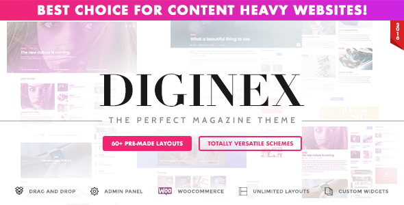 Diginex - Magazine, Blog, News and Viral WordPress Theme - Blog / Magazine WordPress